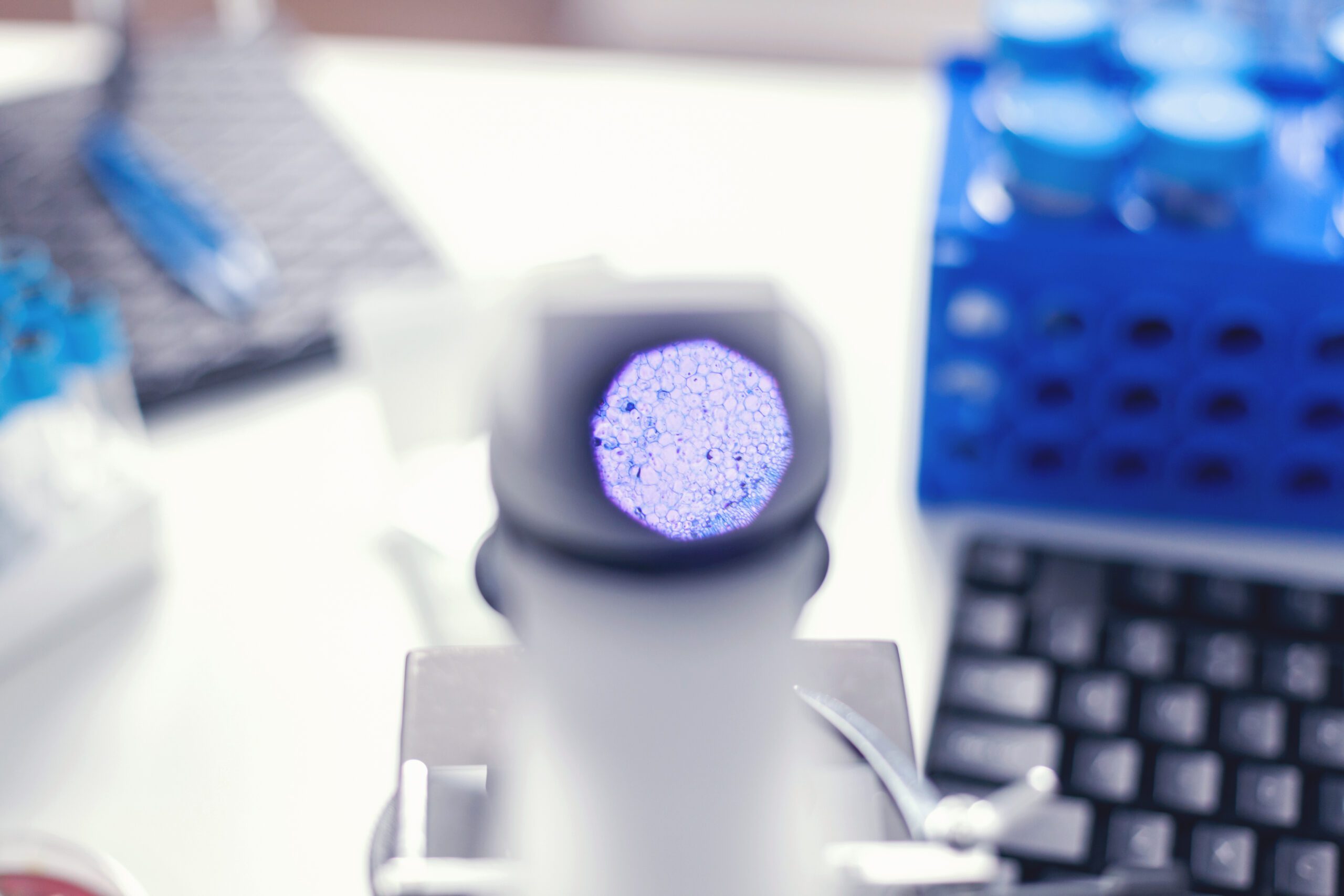 Stem Cells Colon Cancer