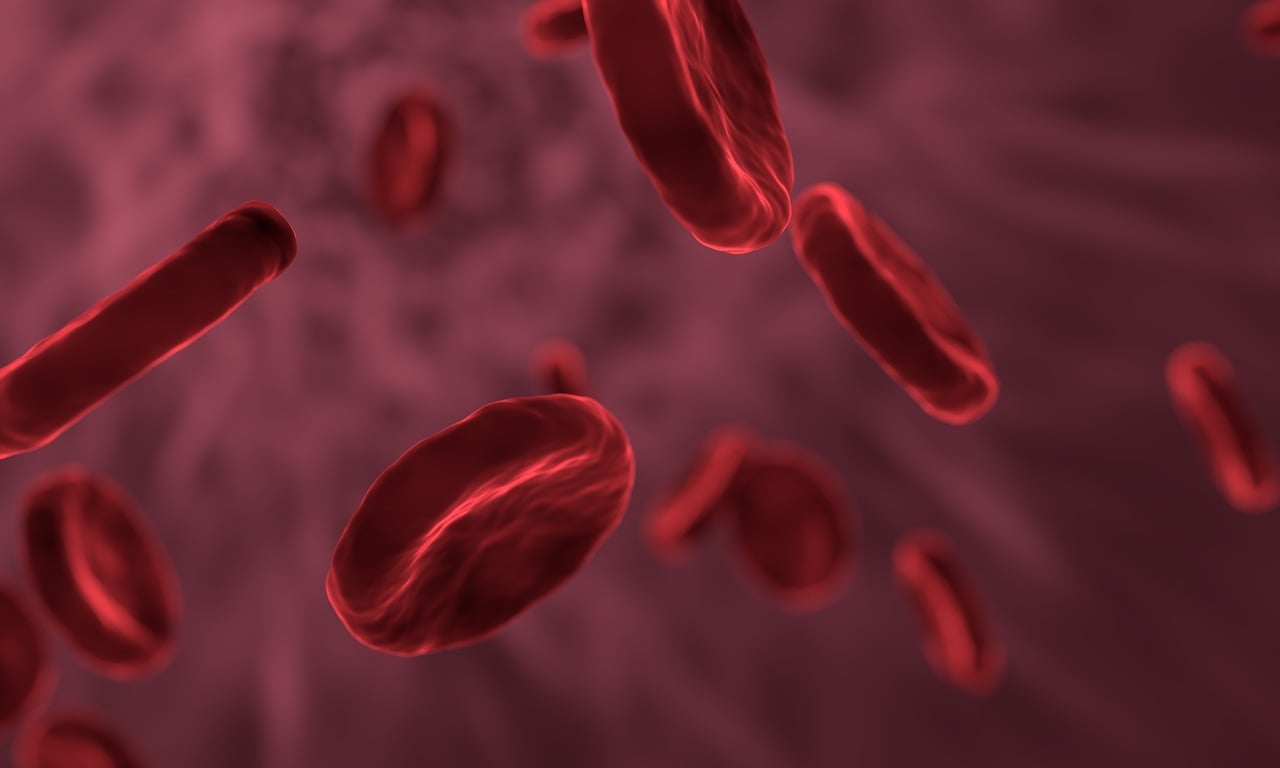 Stem Cells Tijuana -Stem Cells Tijuana Mexico - Stem Cell therapy - mesenchymal therapy - msc