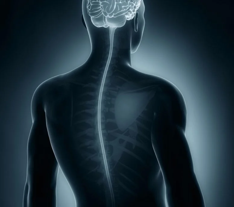 spinal cord injury treatment - stem cell tijuana - Stem Cell Tijuana Therapies